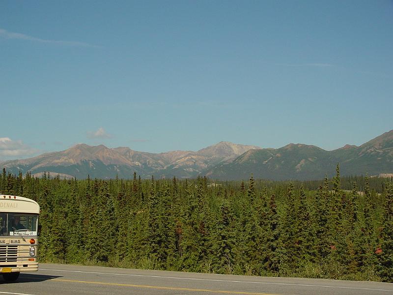Picture 040
